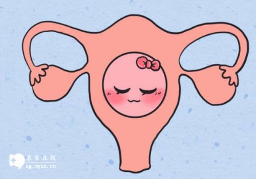 高龄女性想要受孕改善卵子质量是最关键一步