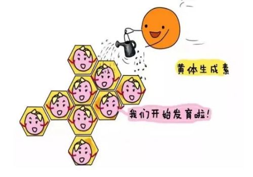 湖州试管助孕公司：未婚单身女人可以免费申请精子做试管，但仅限于国外