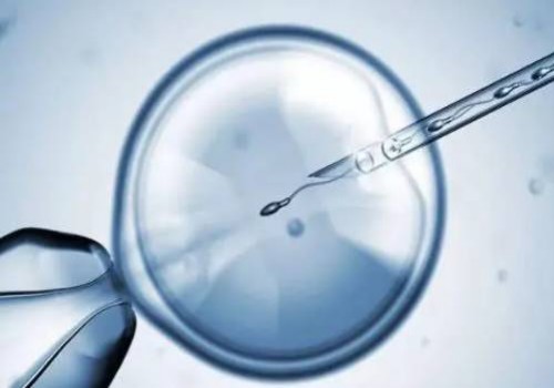 湖州试管婴儿价格：怀孕eb阳性病毒对胎儿危害可不小，孕妈发现一定要及时治疗