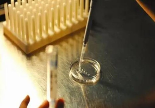 经常喝奶茶不是影响不孕不育的直接因素，不用过于担心